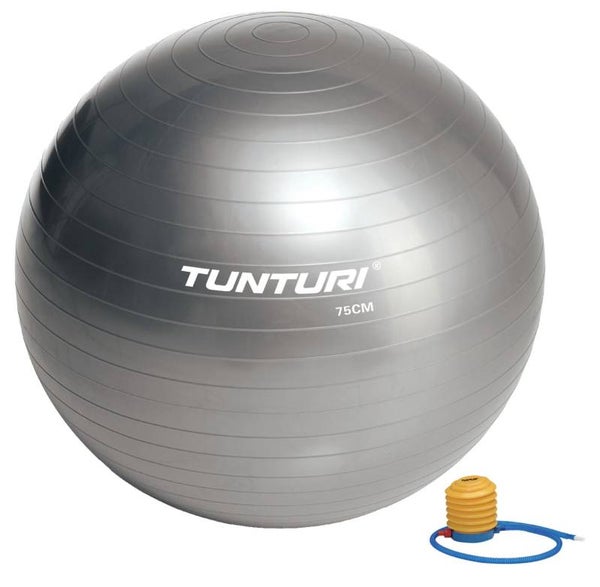 Tunturi fitnessbal 75 cm zilver