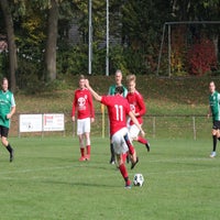 afbeelding-van-whatsapp-op-2025-10-12-om-14-50-38_616fc7da-1-standard.jpg