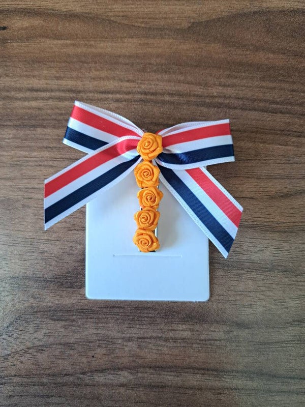 Haar alligator knipje