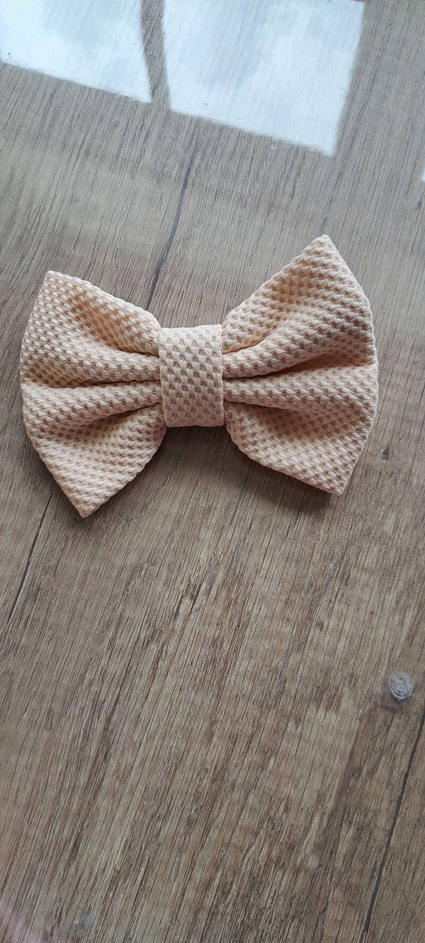 Haar alligator knip