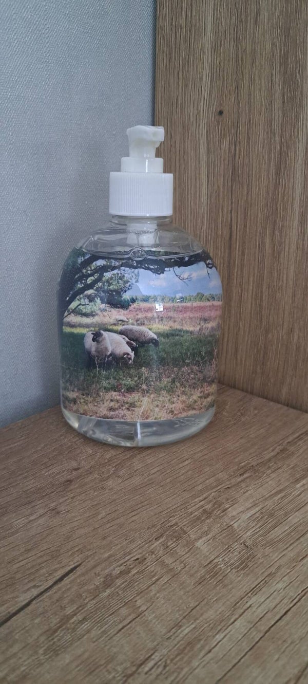Schapen
