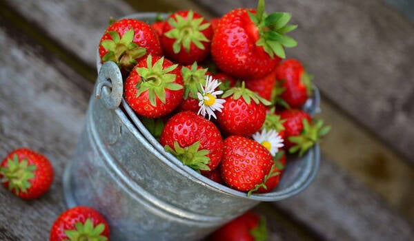 MARIE - Fraise