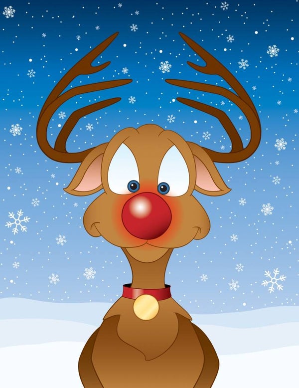 RUDOLPH - suprise sucrée -