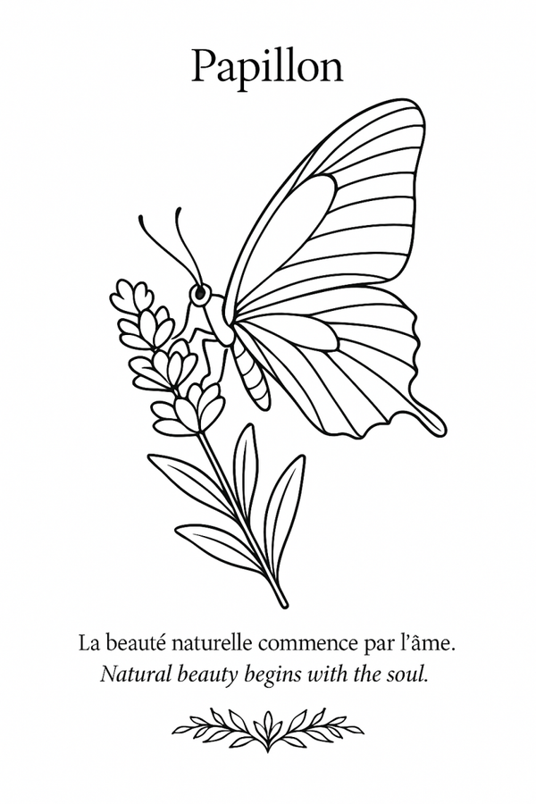 drawings to color / dessin a colorier