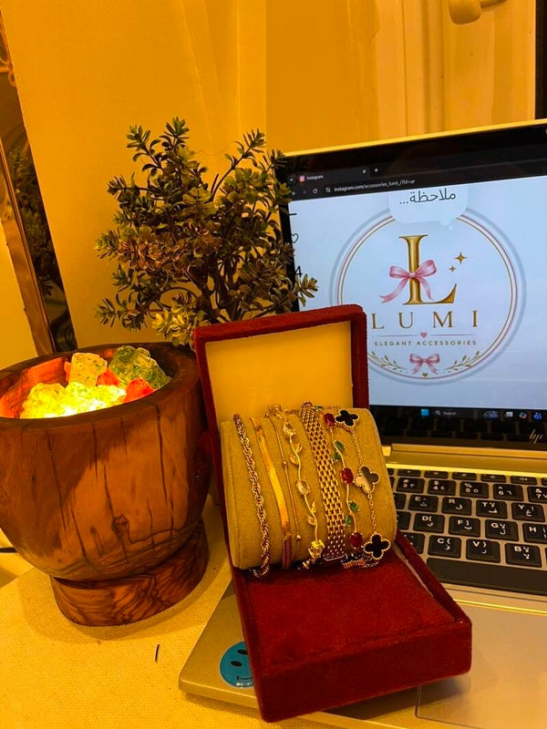 Accessories _lumi