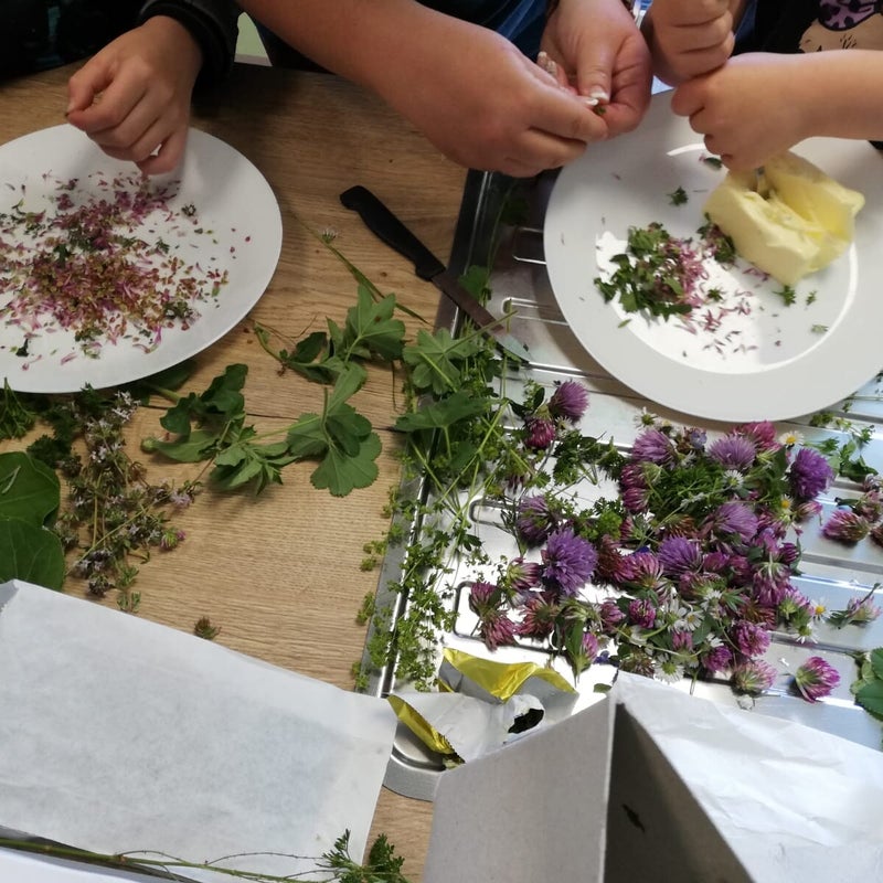 Sammeln und sortieren