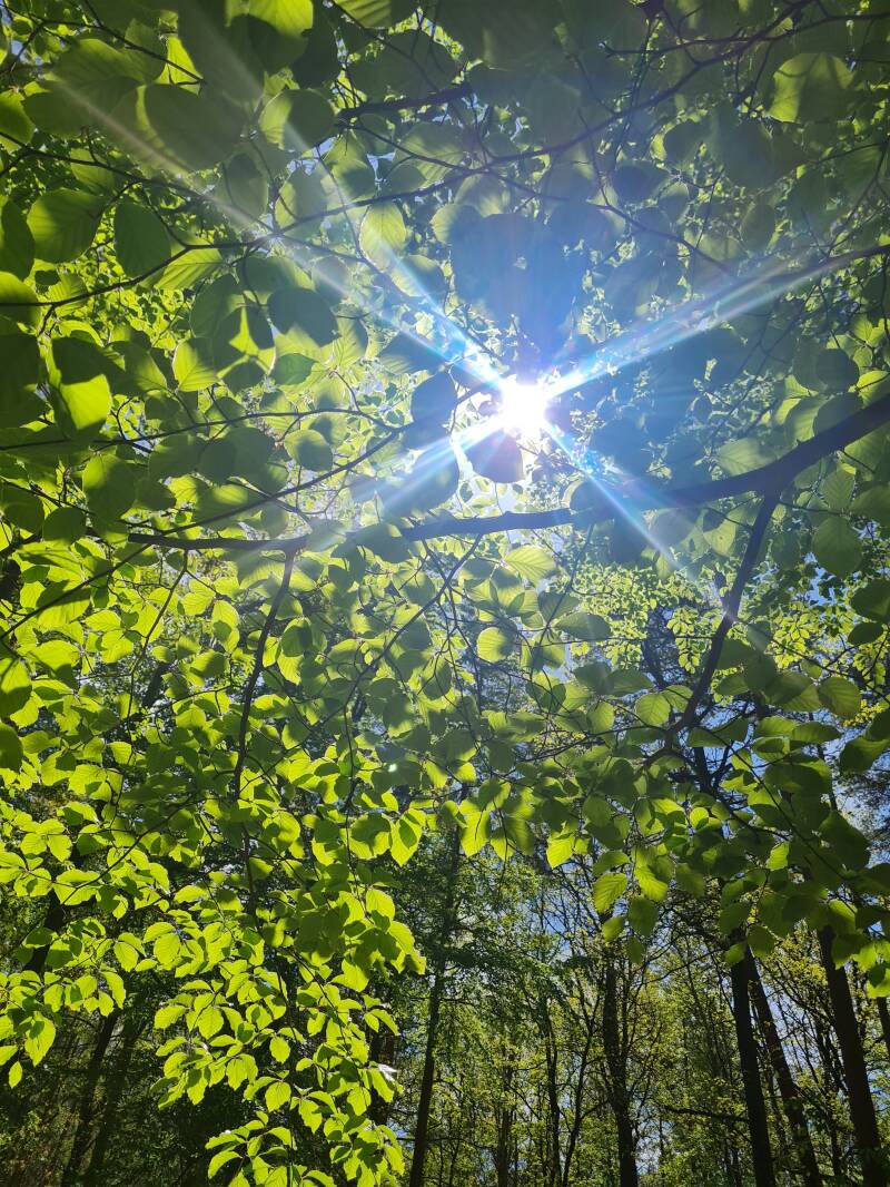Mutter-Vater-Kind-Kurklinik Regenbogenland