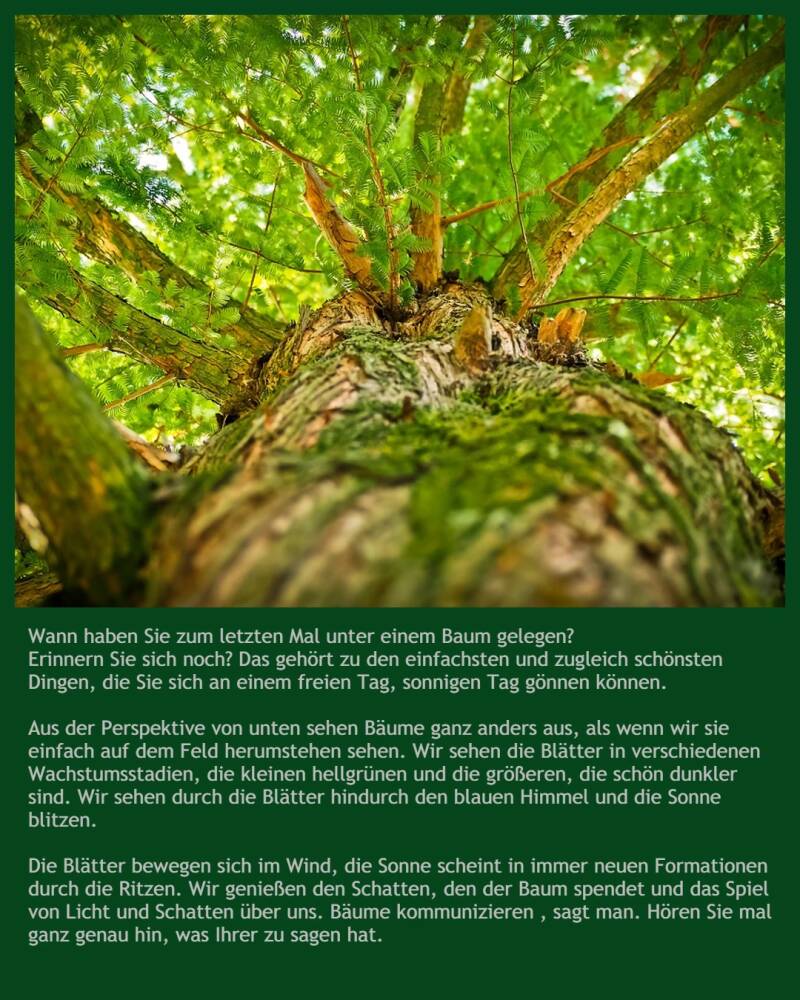 Mutter-Vater-Kind-Kurklinik Regenbogenland