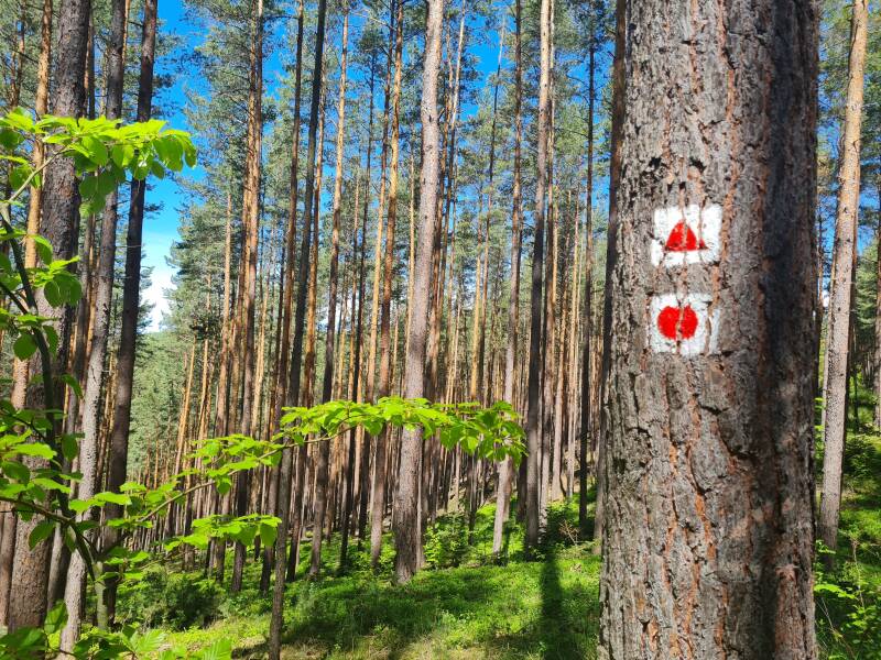 Mutter-Vater-Kind-Kurklinik Regenbogenland