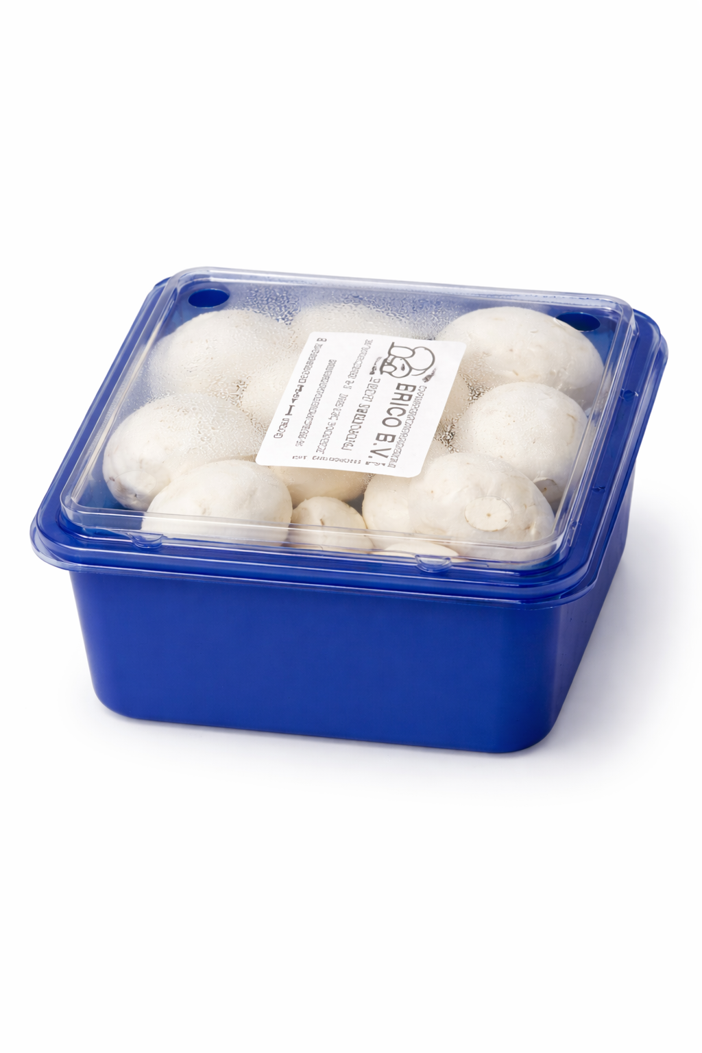 Champignon wit 250 gram bakje