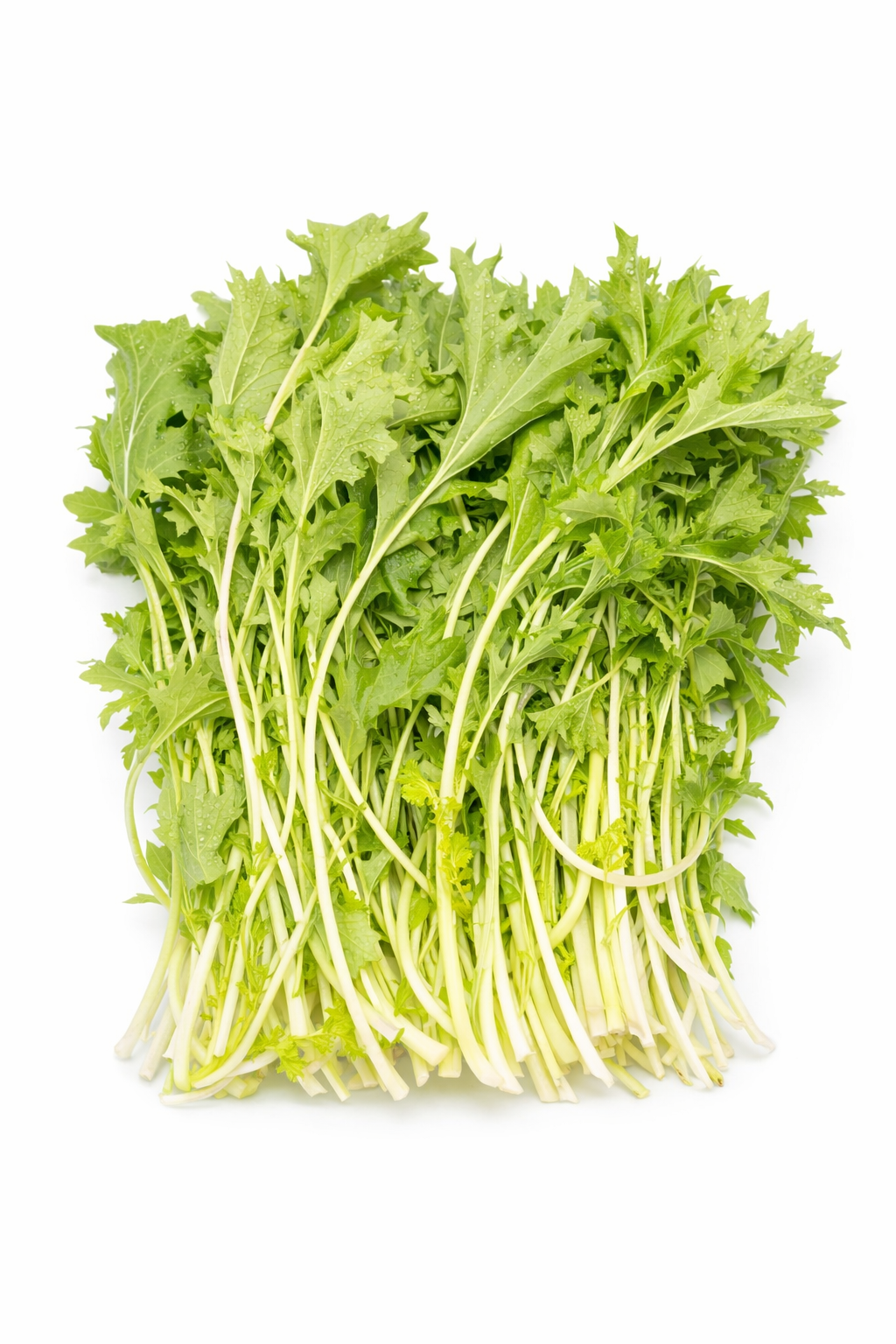 Raapstelen per 100 gram
