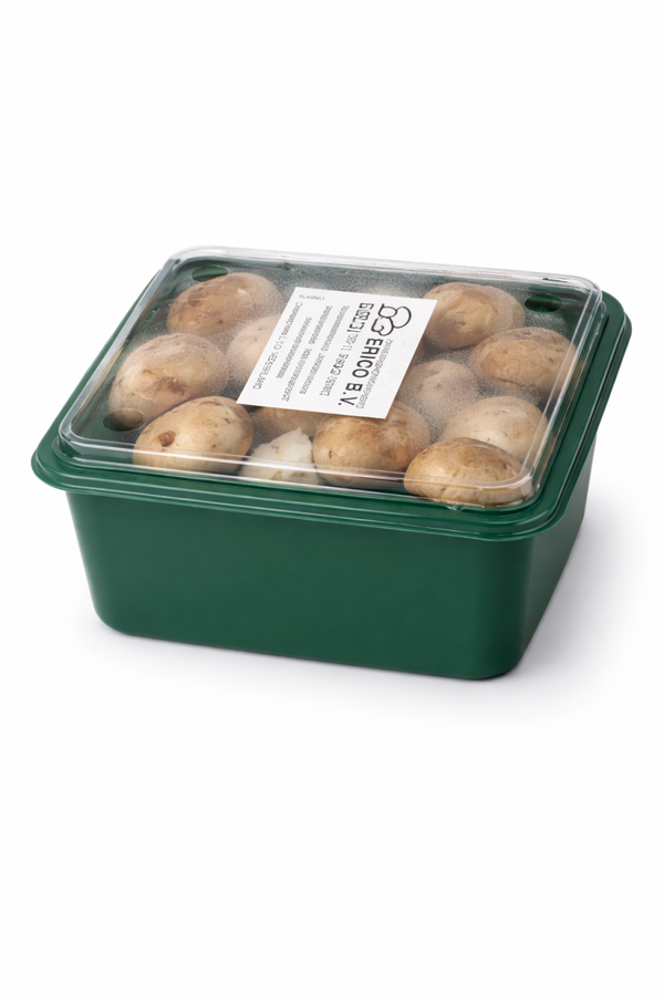 Kastanje champignon 250 gram bakje