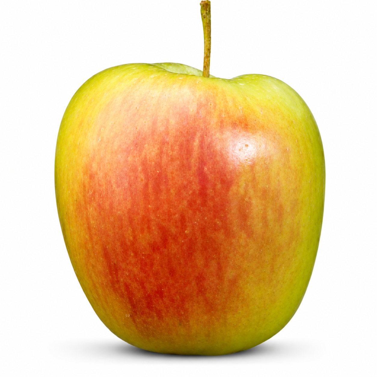 Delbare (nieuwe oogst) per kilo