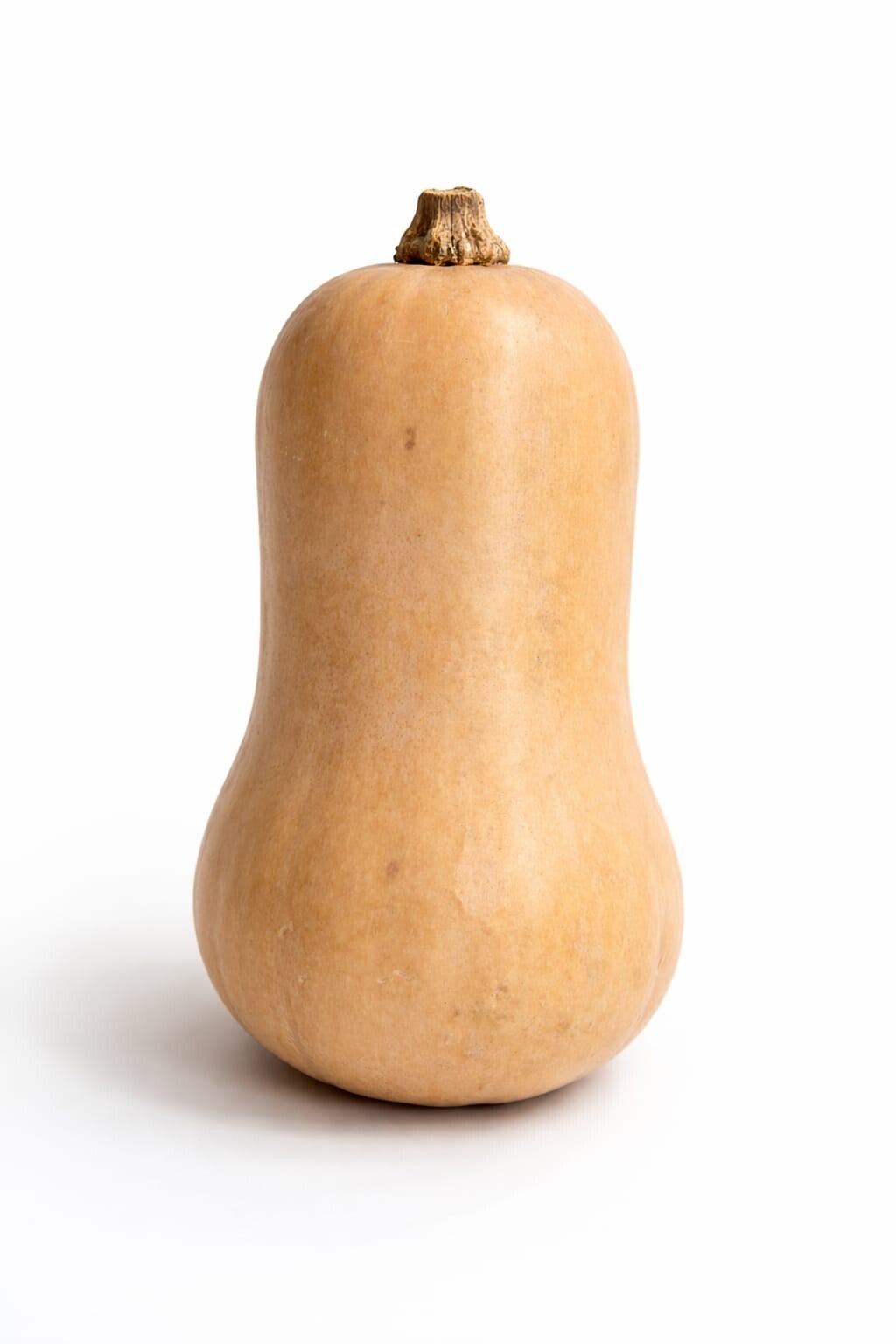 Fles pompoen per stuk