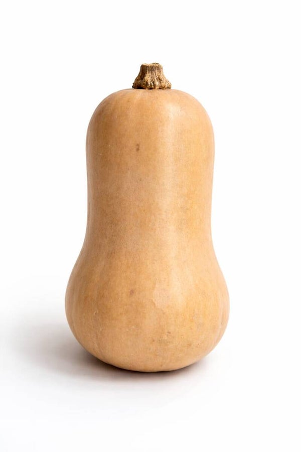 Fles pompoen per stuk