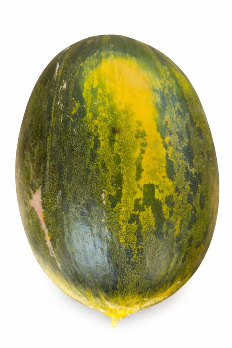 Piel de sapo per stuk