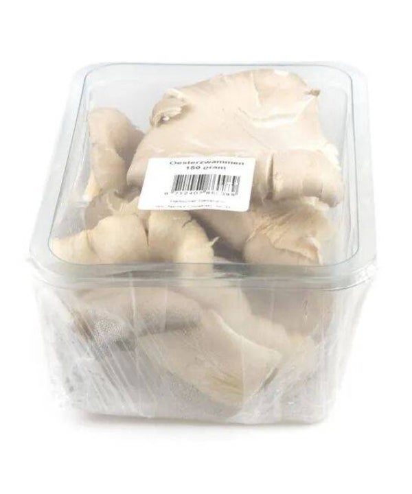Oesterzwam per 100 gram bakje