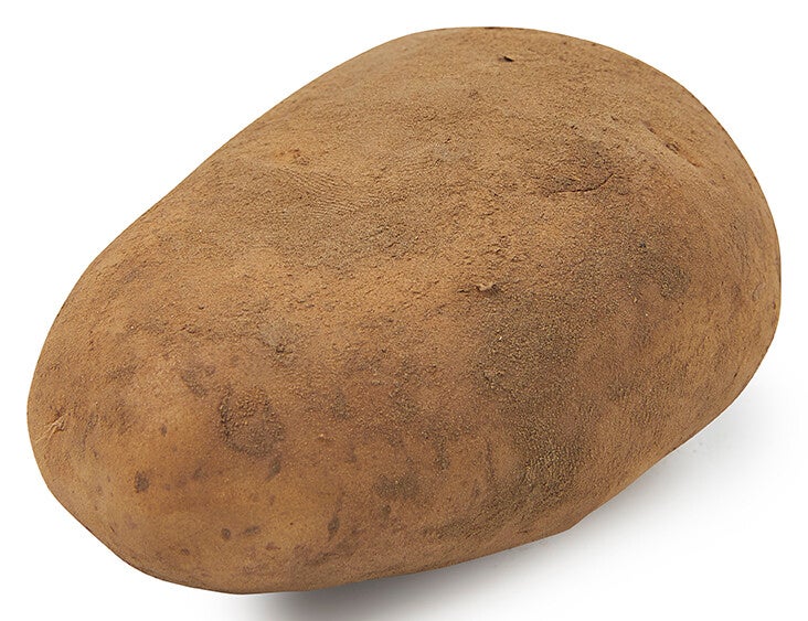 Frieslander per kilo