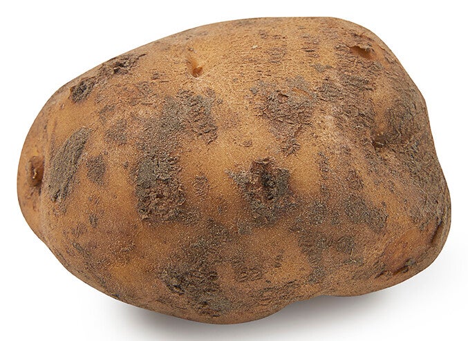 Opperdoezer per kilo