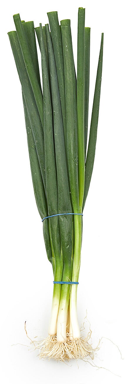 Bosui per bos