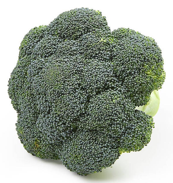 Broccoli (500 gram)