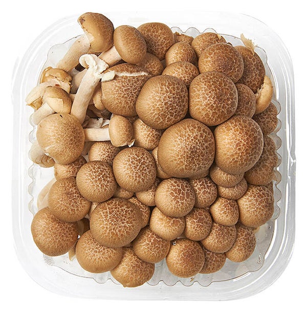 beukenzwam bruin 150 gram bakje