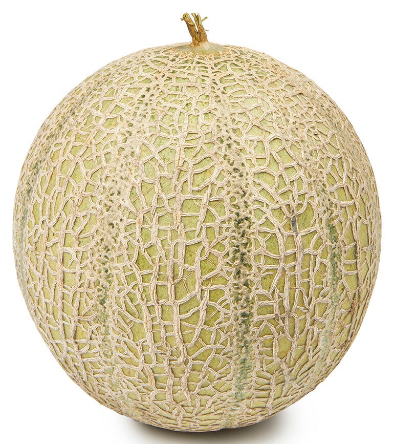 Cantaloupe meloen per stuk