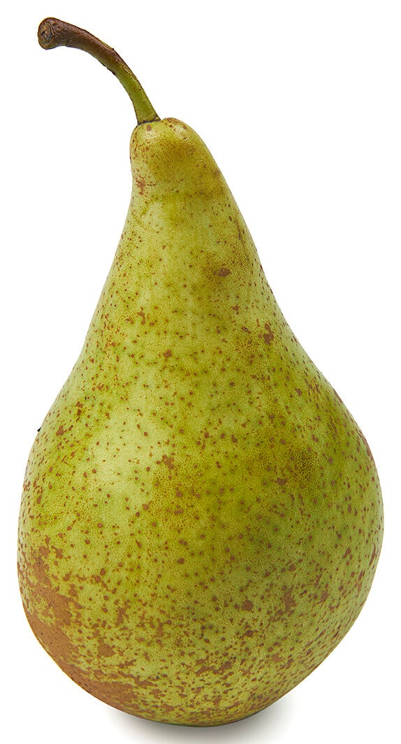 Conference handperen per kilo