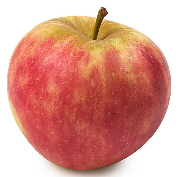 Elstar per kilo