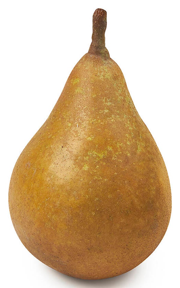 Stoofperen gieser wilderman per kilo