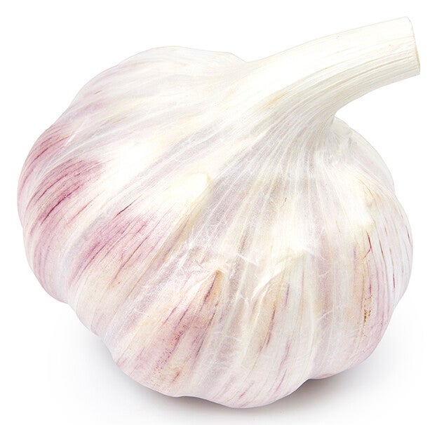 Knoflook roze per stuk