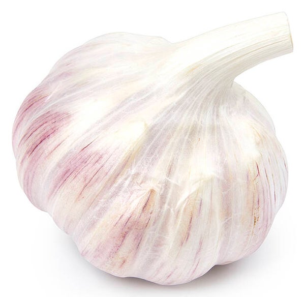 Knoflook per stuk