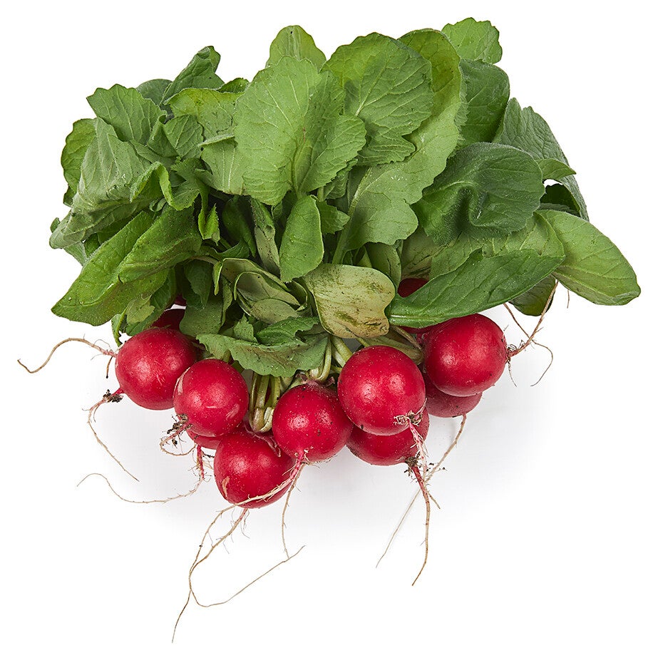 Radijs per bos