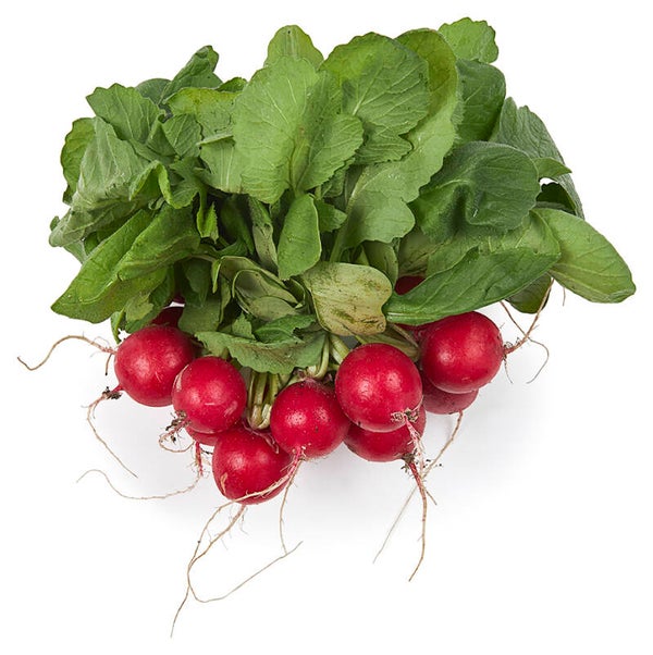 Radijs per bos