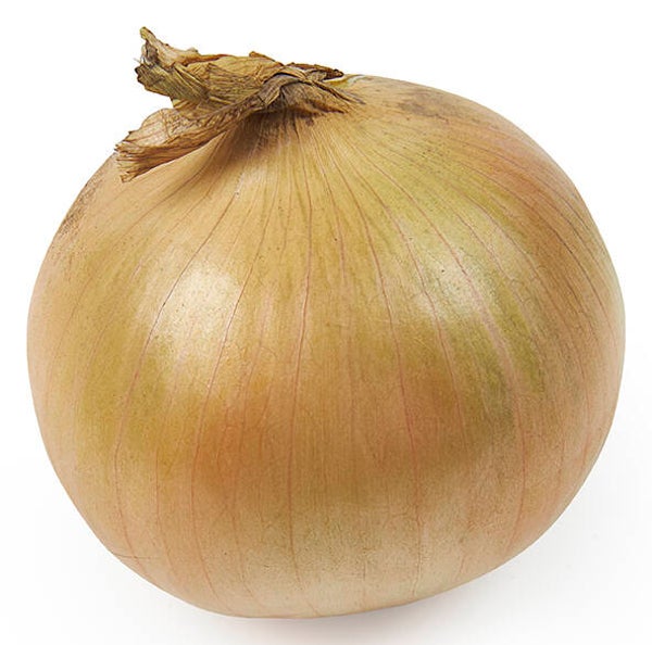 uien per 500 gram