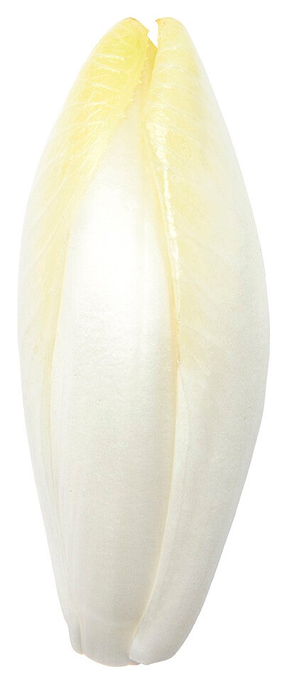 Witlof per 500 gram
