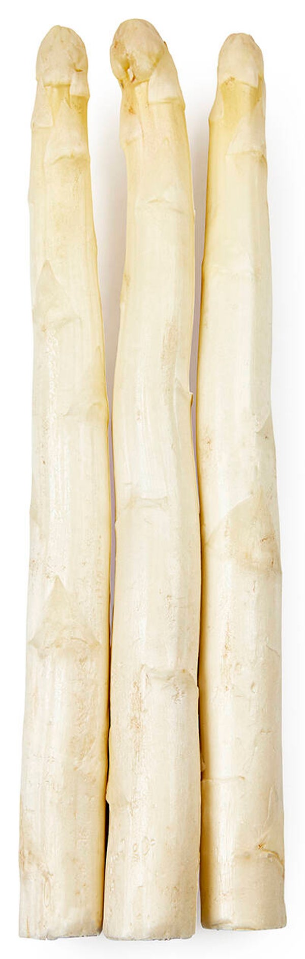 Asperges wit 500 gram Hollandse (klasse1)