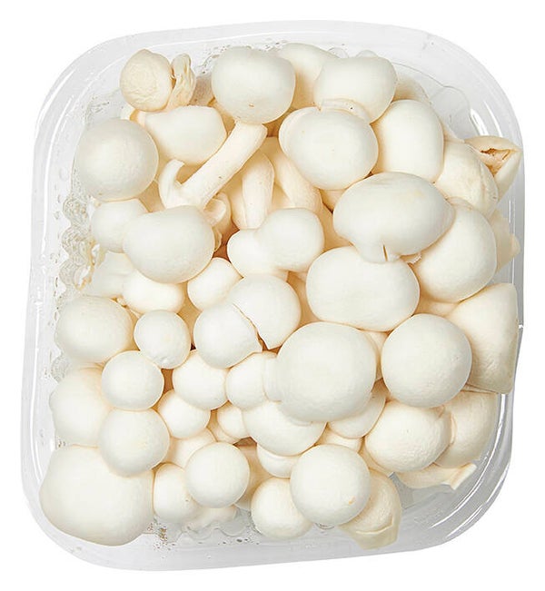 beukenzwam wit 150 gram bakje