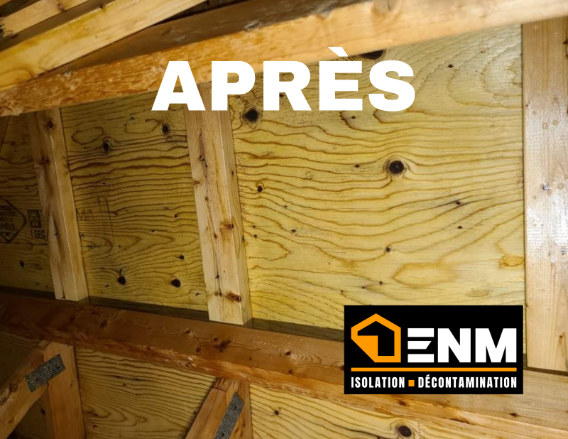 Une décontamination de moisissures dans un grenier de maison au Québec