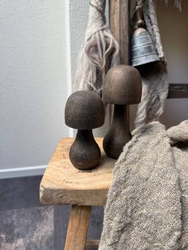 2007, Setje houten paddestoelen set A (2 stuks)