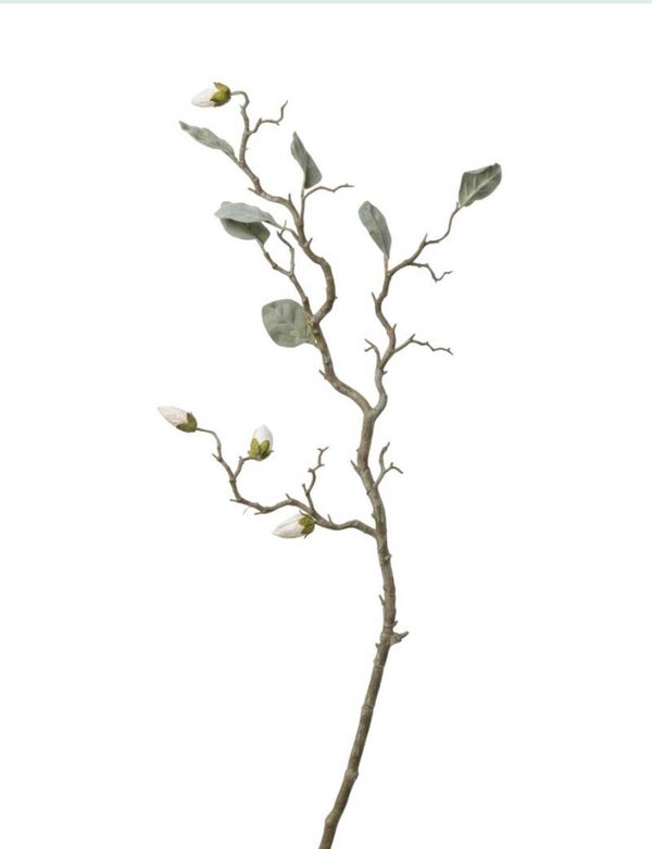 3009, Magnolia in knop, pink