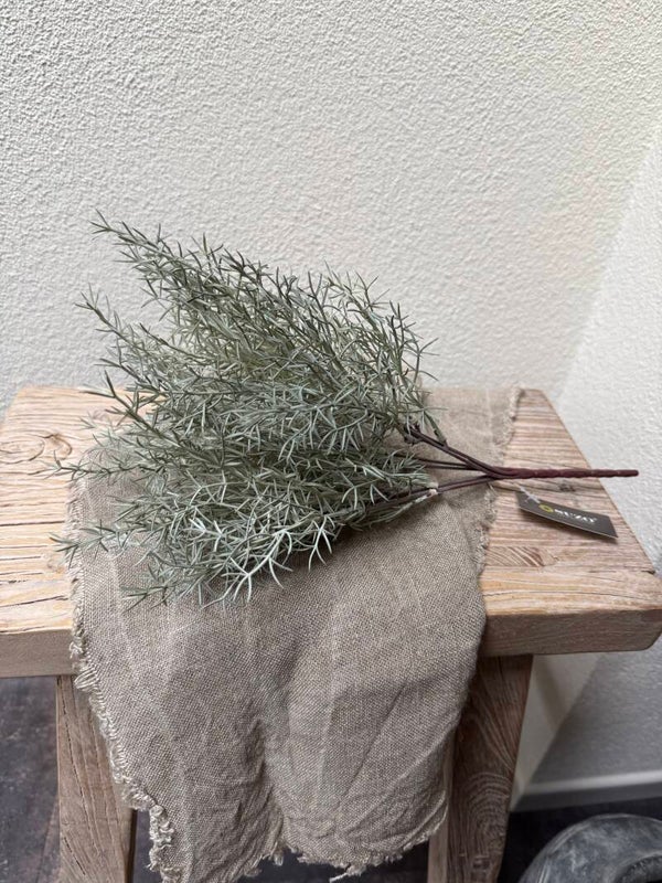 3069, Kunst Asparagus bosje , 36cm
