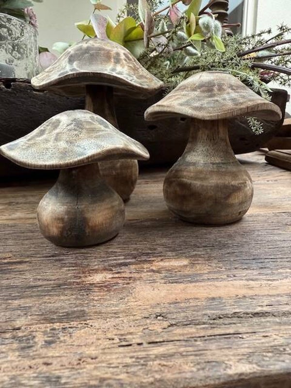 1020, Landelijke Paddestoelen, Licht Bruin, 3 stuks