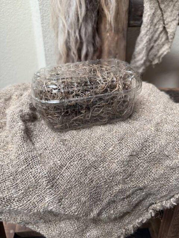 1047, Bakje Tillandsia
