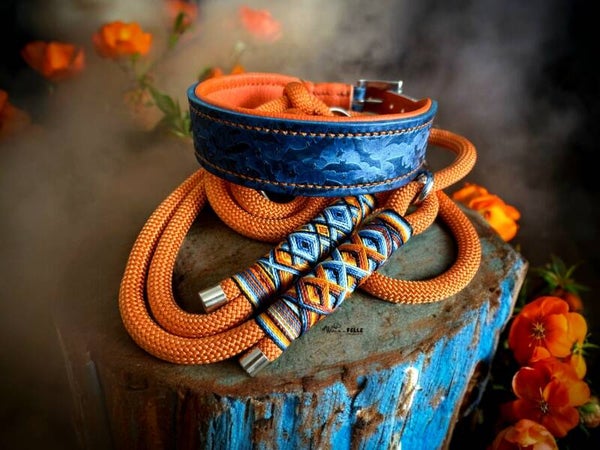 Sofortkauf-Set Leder Handgenäht Fledermaus Royalblau HU 38-44cm, Leine 2m 2fach