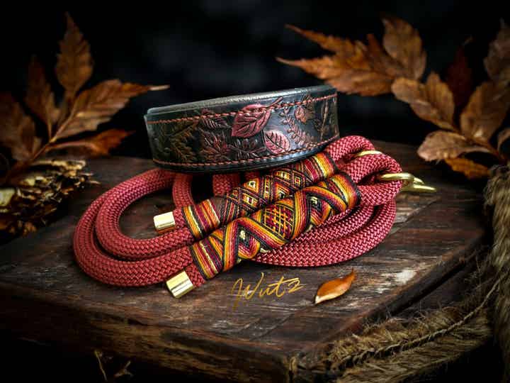 Sofortkauf-Set Leder Handgenäht Blätter HU 36-42cm, Leine 2m 2fach