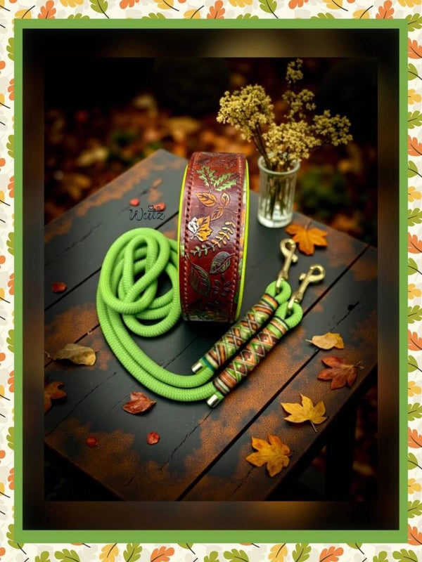 Sofortkauf-Set Leder Handgenäht Herbst HU 42-48cm  Leine 1..70m 1fach