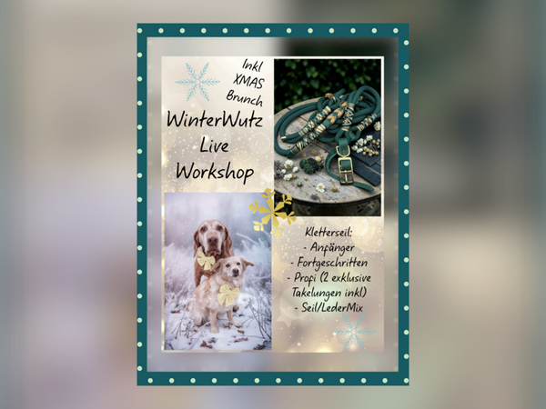 WinterWutz Live Universal Workshop 2026 inkl XMAS-Brunch