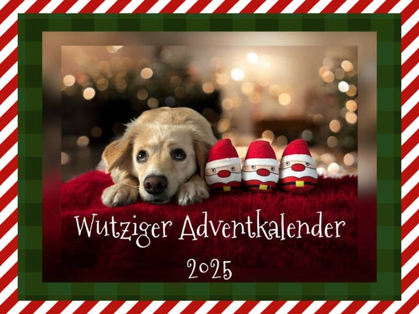 Wutziger Adventkalender 2025