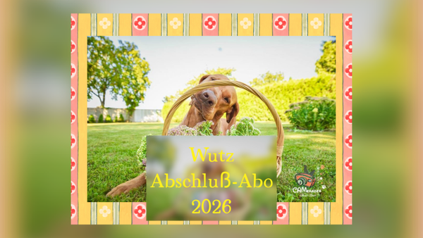 Abschluß-Abo Takelungen 2026 - Videoanleitungen 6+1 Bonus